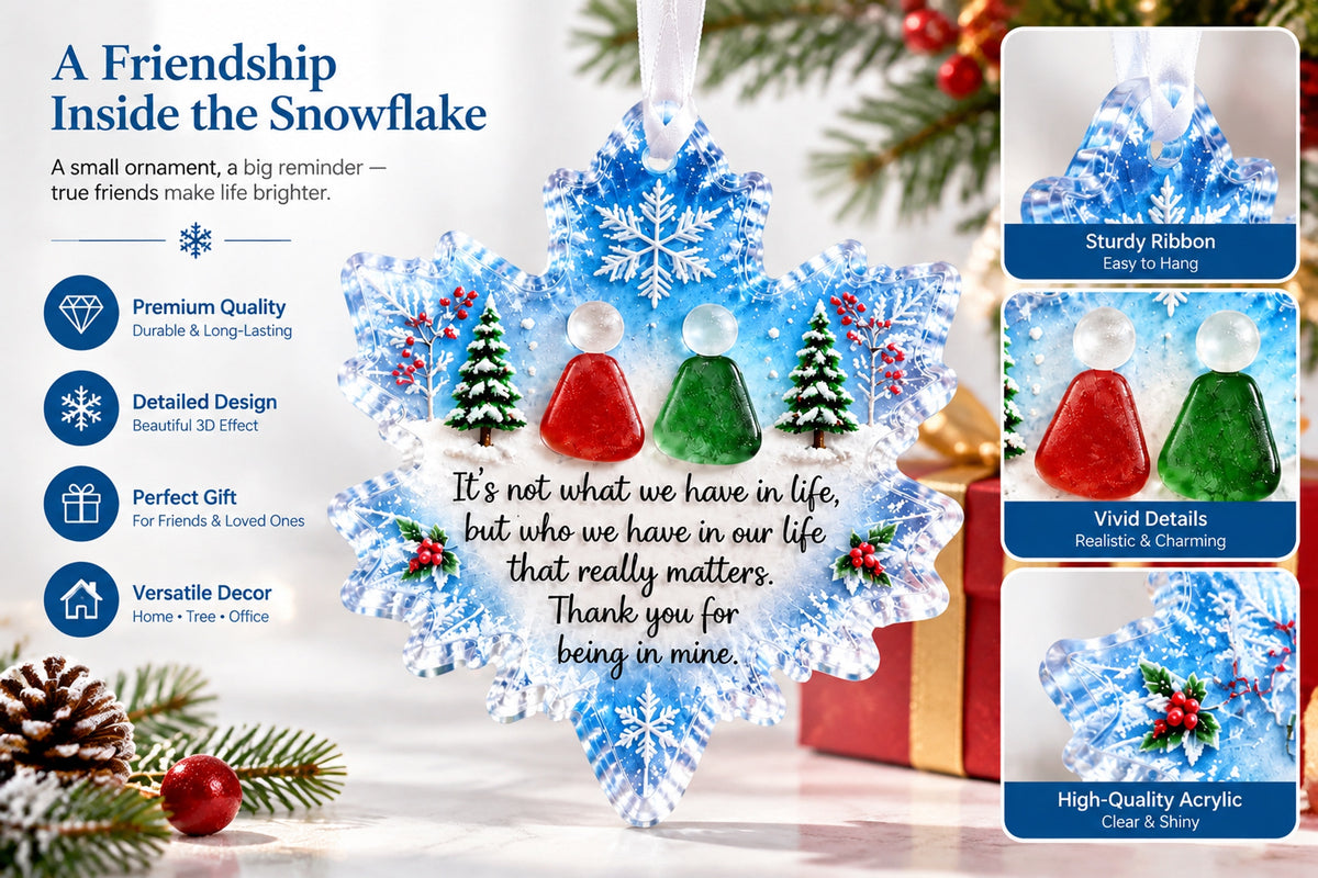 A Friendship Inside the Snowflake