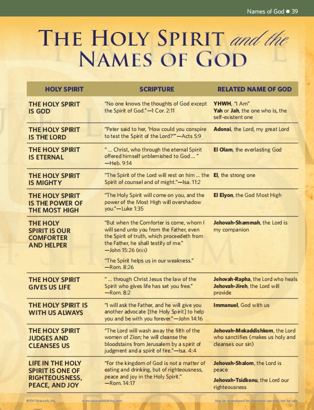 🔥Last Day 70% off🔥10th Anniversary Edition Bible Charts, Maps and Time Lines（Spiral-bound hardcover）