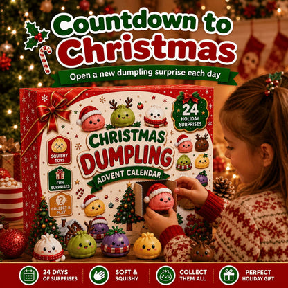 🎄Christmas Advent Calendar Box🥟