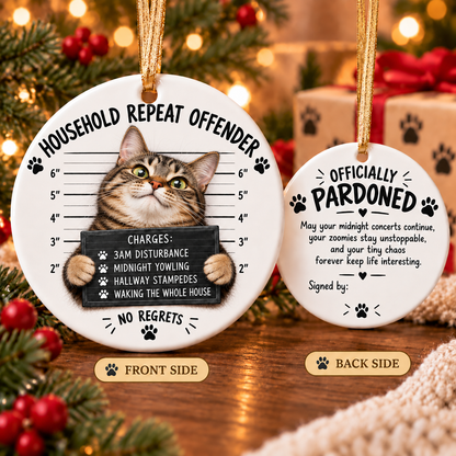 😼 Cat Mugshot Ornament Collection