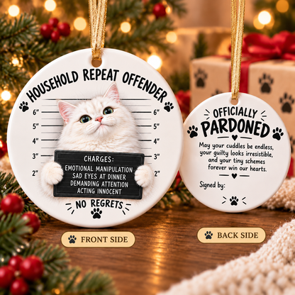 😼 Cat Mugshot Ornament Collection