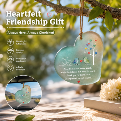Heartfelt Friendship Seaglass Ornament Gift